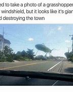 Image result for Front Windshield Broke by Deer Meme