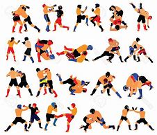 Image result for MMA Fighting