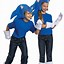 Image result for Sonic Wearing a Costume