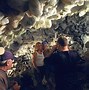 Image result for World's Largest Geode