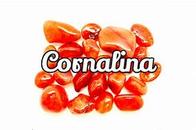 Image result for cornelina