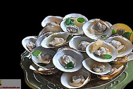 Image result for Clam in Twisty Shell