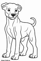 Image result for Mixed Dog Baby