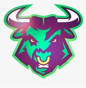Image result for Bull Mascot Logo
