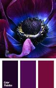 Image result for Neon Purple O