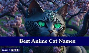 Image result for Anime Cat Names