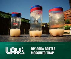 Image result for Liquid Mosquito Trap