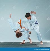 Image result for Akito Martial Arts