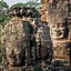 Image result for Angkor Wat Temple Tree