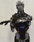 Image result for Japanese Lifelike Robot