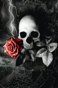 Image result for Gothic Rose Wallpaper Skull