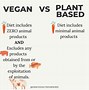Image result for Vegan or Vegetarian