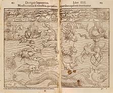 Image result for Old World Map with Sea Monsters