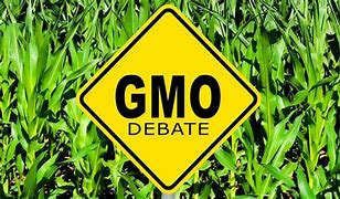 Image result for GMO Good or Bad