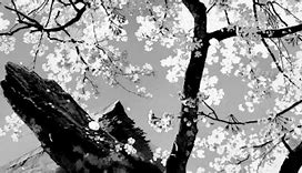 Image result for Grey and White Tree Wallpaper