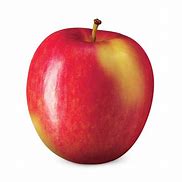 Image result for Different Apple Types