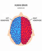 Image result for Brain Sides