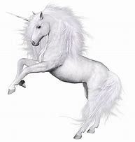 Image result for Unicorn Aesthetic Transparent