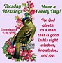 Image result for Happy Tuesday God Bless