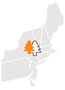 Image result for Northeast Snow Storm Today