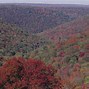 Image result for Pennsylvania Fall Foliage