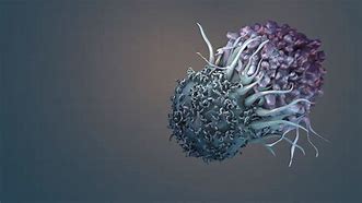 Image result for Killing Cancer Cells