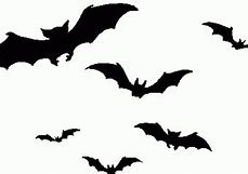 Image result for Cute Bat Clip Art