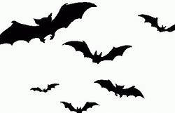 Image result for Black Bat Template