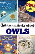 Image result for Owl Books for Preschoolers