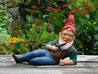 Image result for GNome