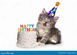 Image result for Funny Cat Cake