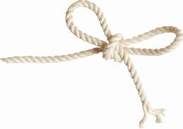 Image result for Rope Dog Toy No Background