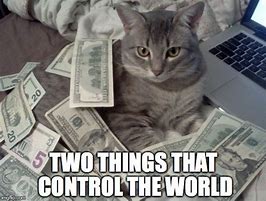Image result for Money and Animal Meme