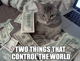 Image result for Cat Sitting On Money Meme
