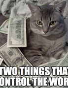 Image result for money cats memes