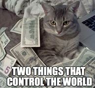 Image result for We Work Hard for the Money Cat Meme