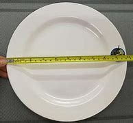 Image result for 26 Cm Plate with Person for Scale