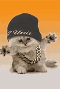 Image result for Cat Thug Life Meme GIF