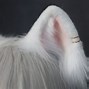 Image result for Black Cat Ears and Tail