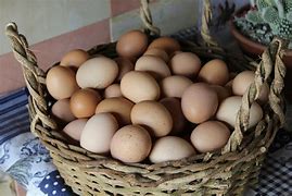 Image result for Bunch of Eggs