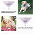 Image result for Puppy Bandanas