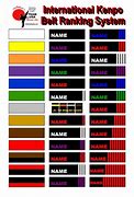 Image result for All Karate Belts in Order