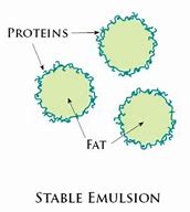 Image result for Fat Emulsion