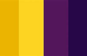 Image result for What Is the Best iPhone Color