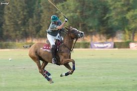 Image result for Prince Harry Polo Match