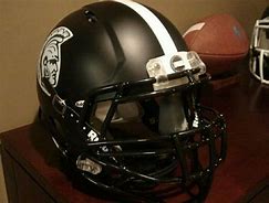Image result for Michigan State Football Helmet FSU