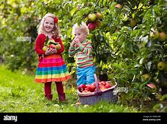 Image result for Child Picking Apples