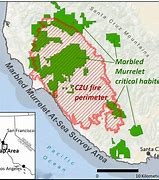 Image result for Marbled Murrelet Habitat Map