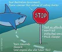 Image result for Funny Shark Week Memes