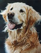 Image result for Golden Retriever Dog Art